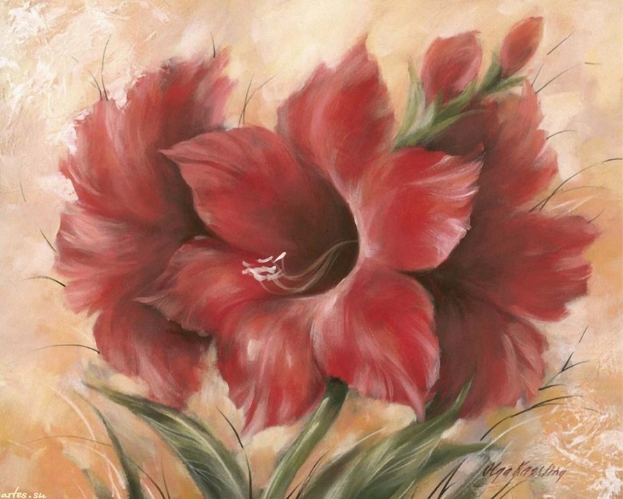 Красные цветы - цветы - оригинал