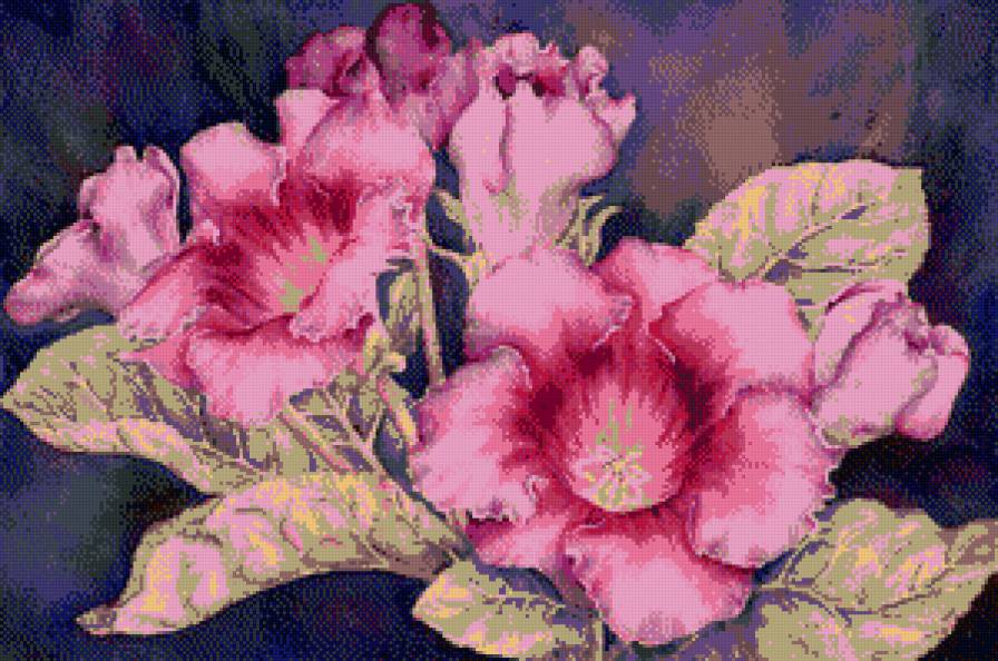 Глоксинии. - предпросмотр