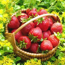 Схема вышивки «карзиночка клубники»