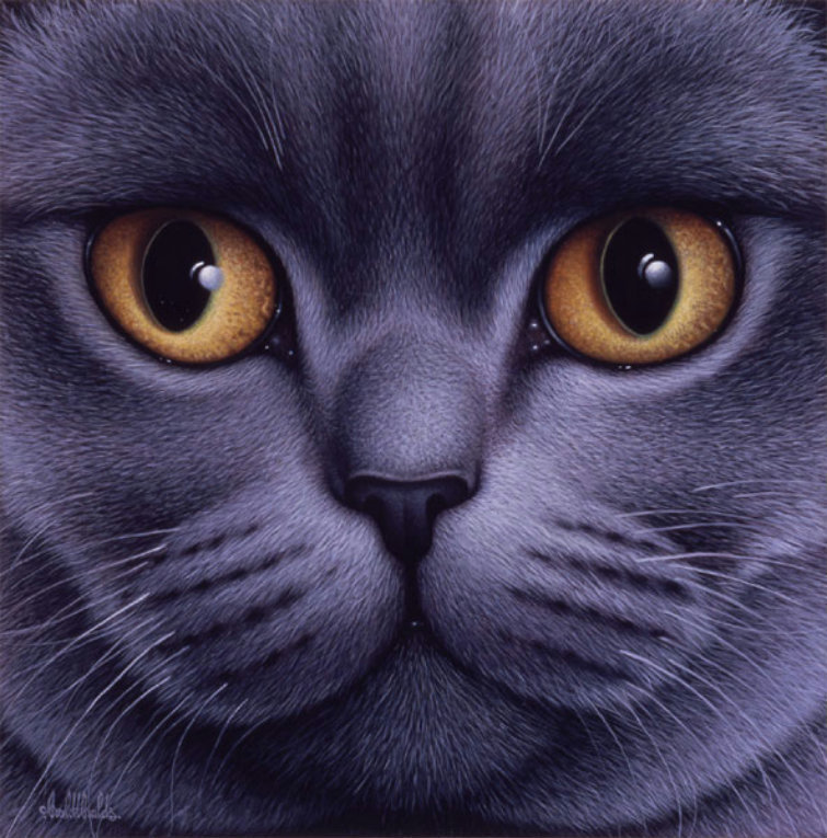 Глазастое чудо - оригинал