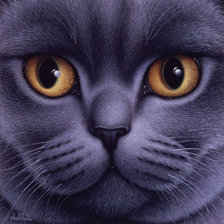 Схема вышивки «Глазастое чудо»