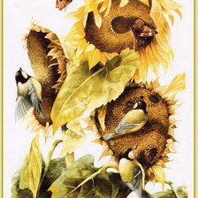 Птицы на подсолнухах