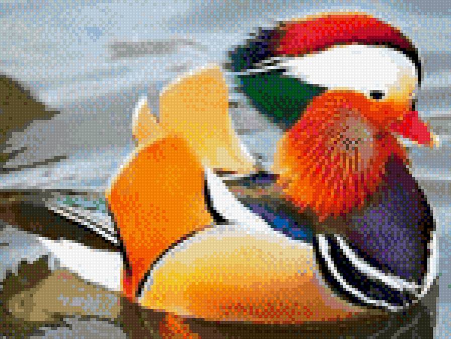 Мандаринка - предпросмотр