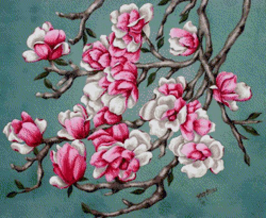 №608204 - магнолия - предпросмотр