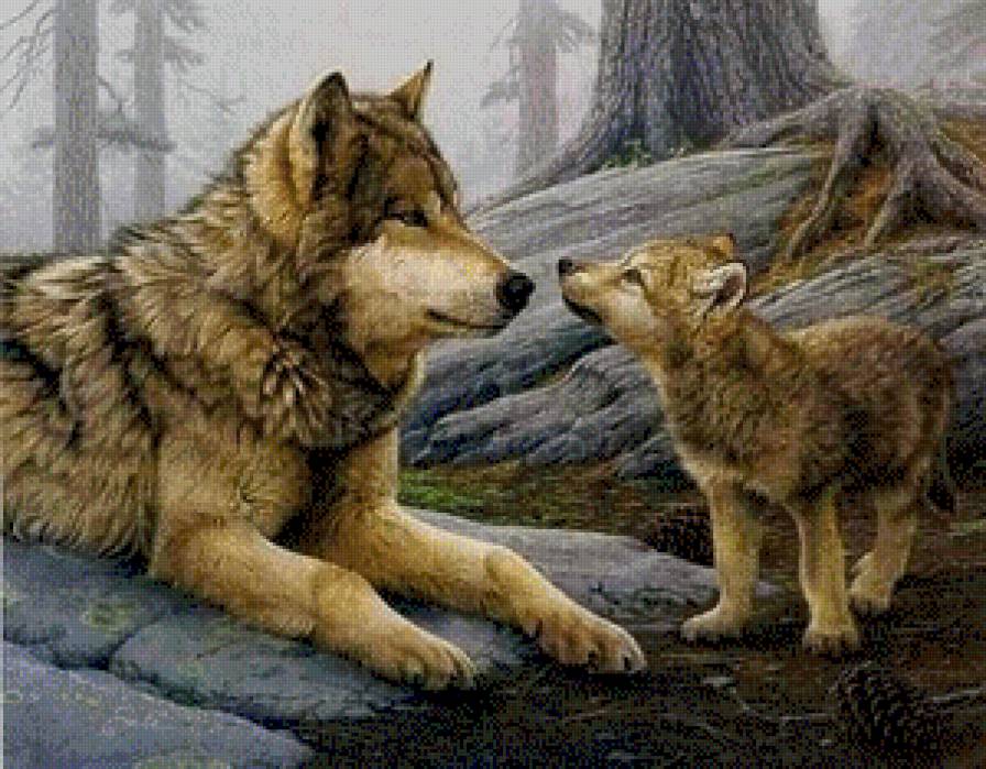 мамино счастье - волки, животные - предпросмотр