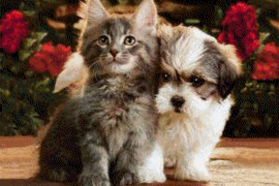 милашки - животные, собаки, кошки - предпросмотр