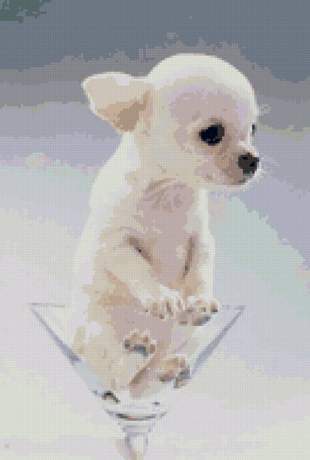 №608367 - животные, забавные животные - предпросмотр