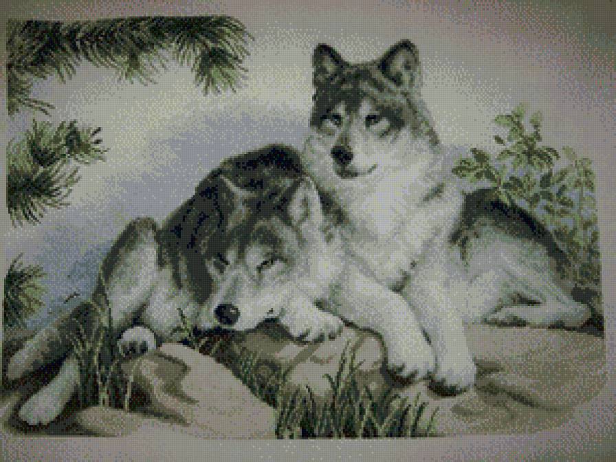 вовки - предпросмотр