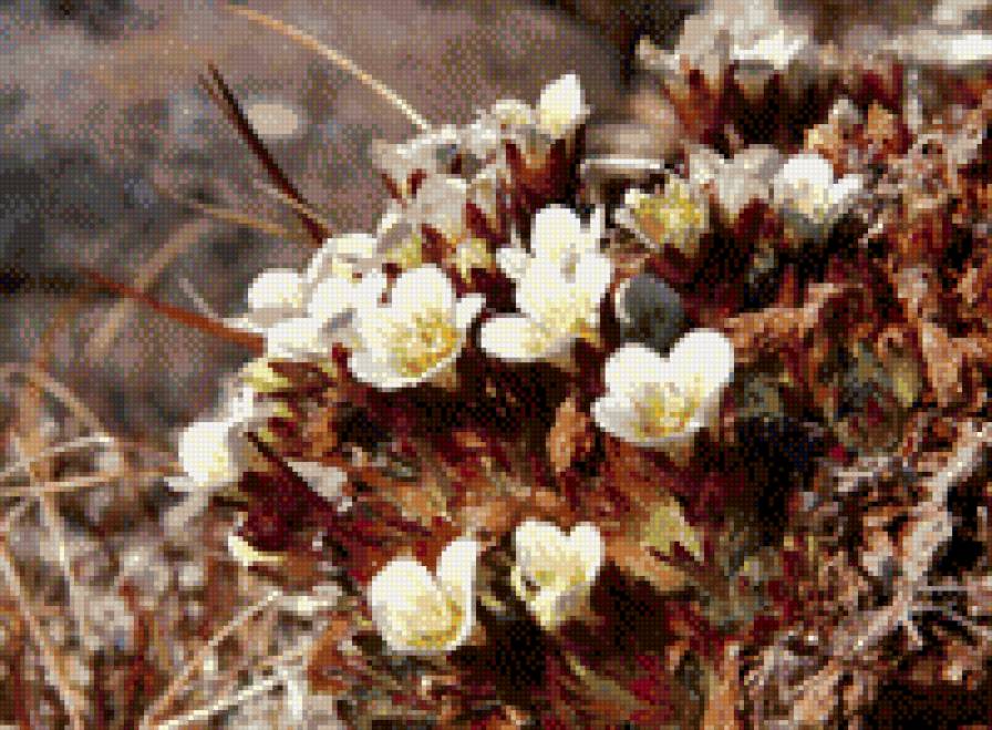 №608553 - предпросмотр