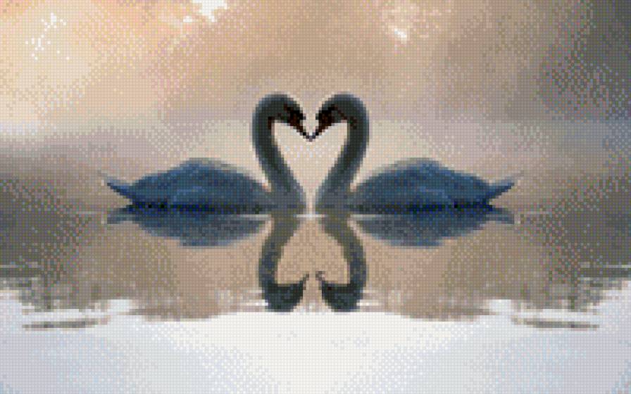 лебеди - лебеди, озеро - предпросмотр