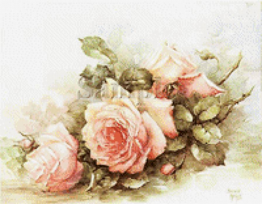 розовые розы - розы - предпросмотр