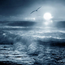 лунная ночь