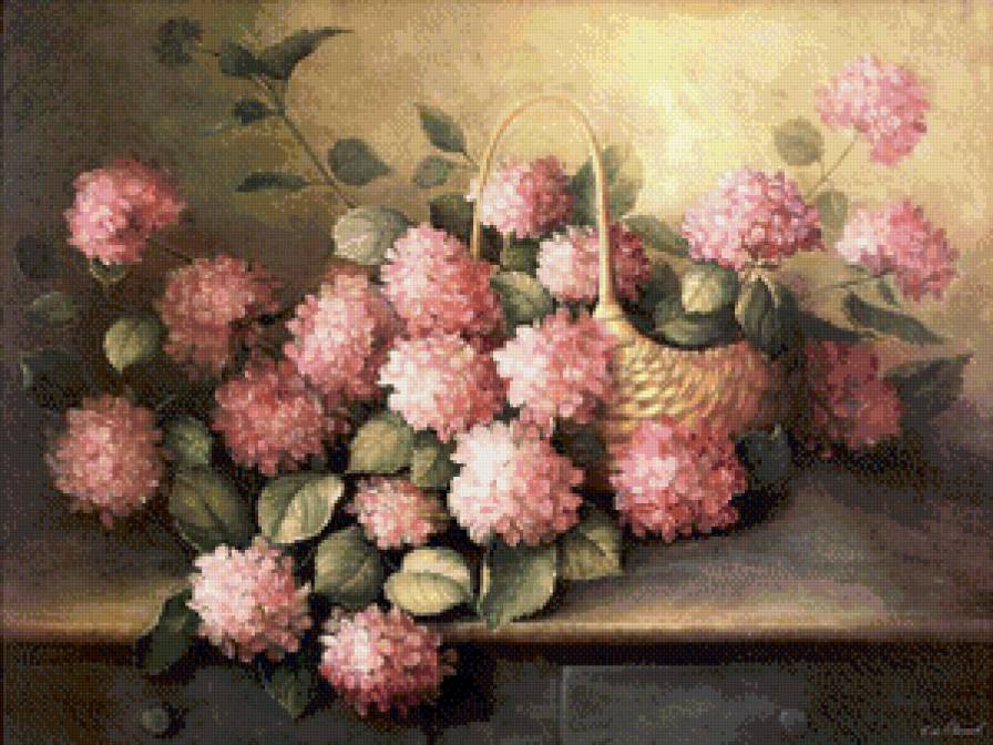 гортензия - цветы, гортензия - предпросмотр