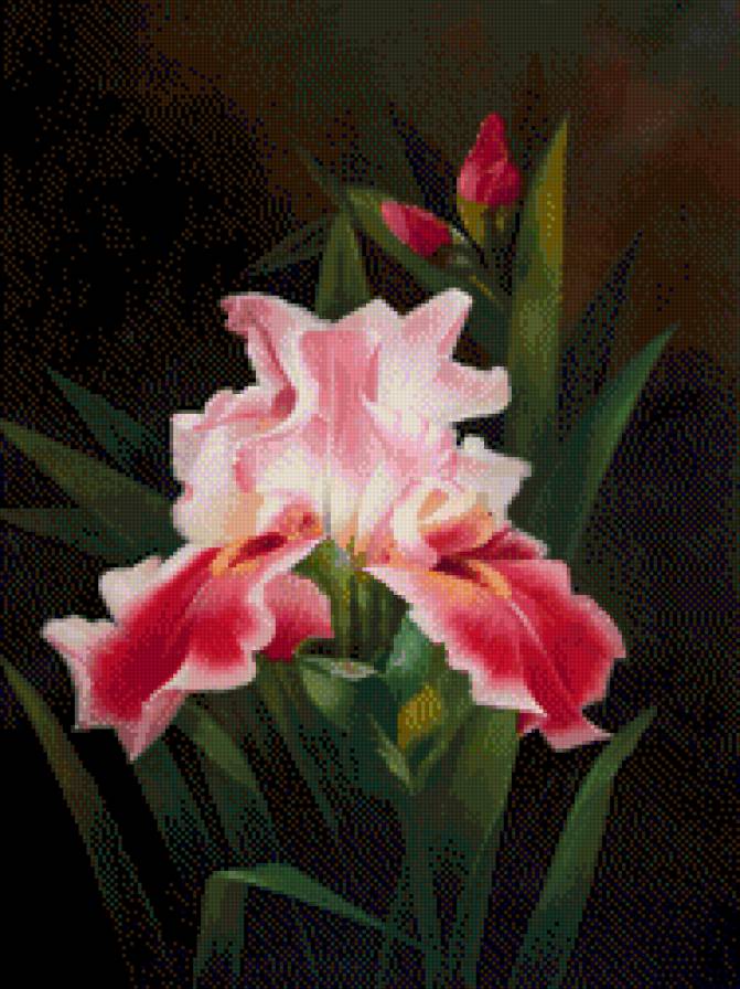 №609003 - цветы - предпросмотр