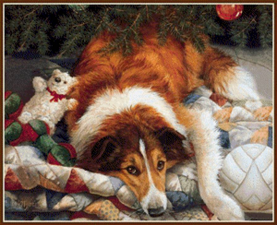 лучше бы косточку подарили - животные, собака - предпросмотр