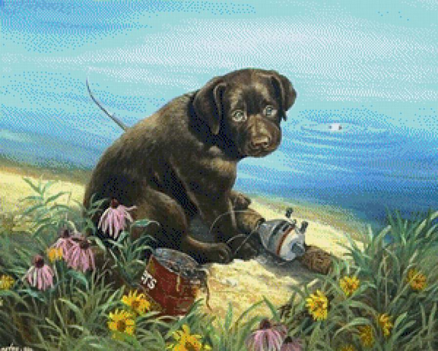 ничего не ловится - щенок, собака - предпросмотр