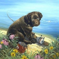 ничего не ловится