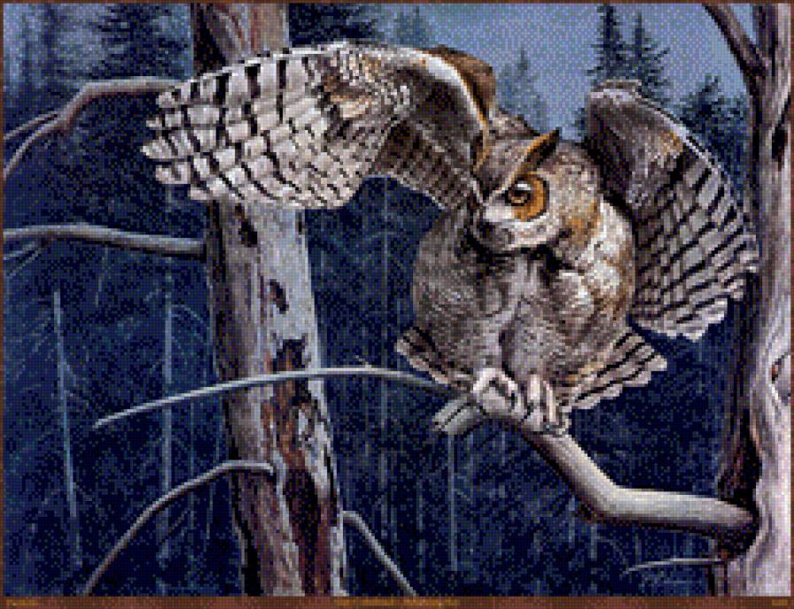 сова - животные - предпросмотр