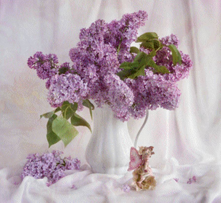 сирень - предпросмотр