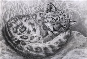 №609167 - оригинал