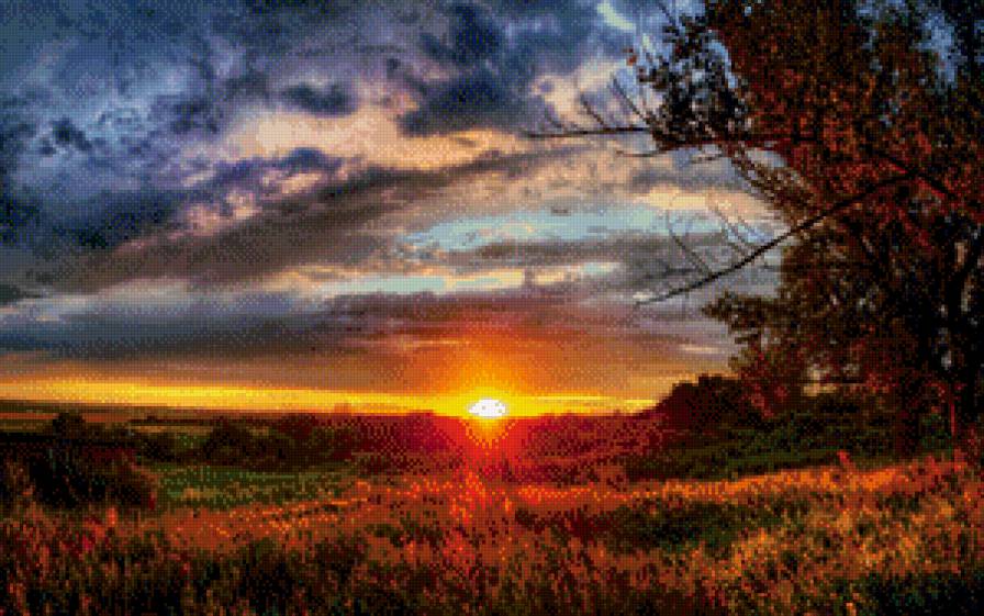 закат - лето, закат, поле, яркие цвета, осень, сочно, природа - предпросмотр