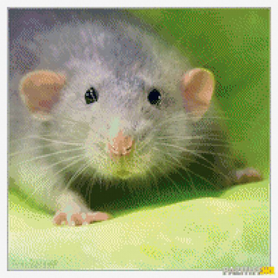 Милая мышь