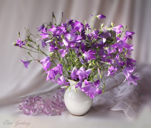 №609358 - оригинал