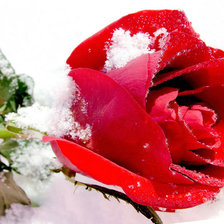 Схема вышивки «№609422»