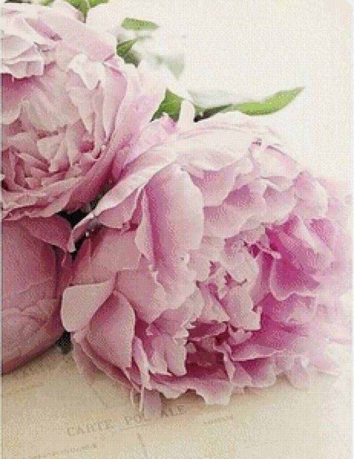 №609430 - предпросмотр