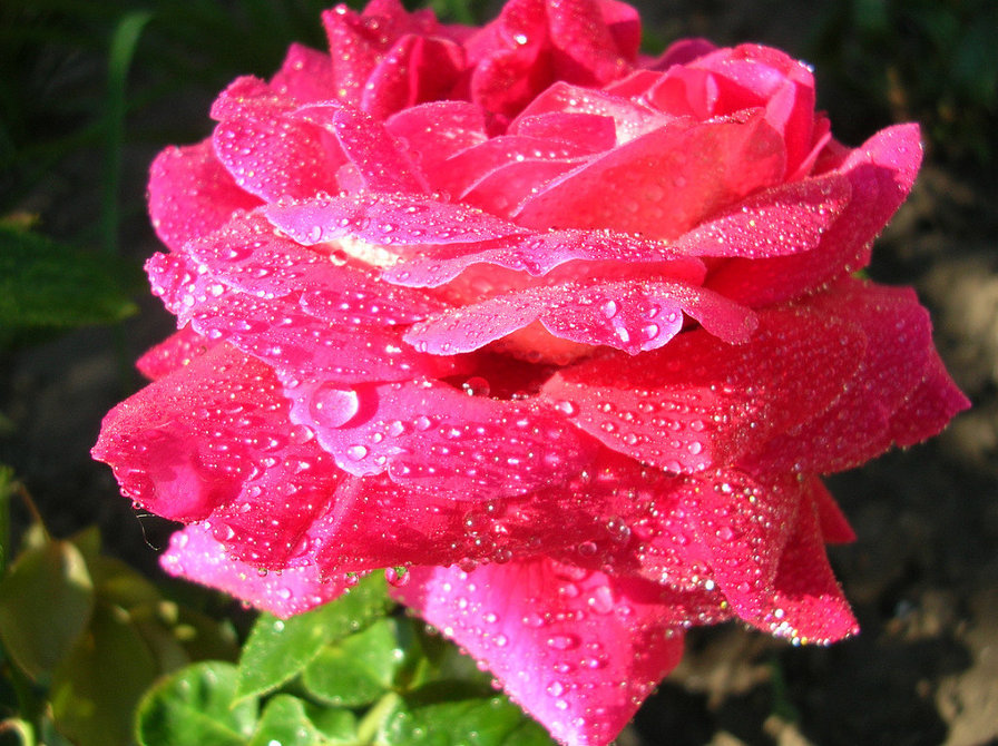 №609434 - оригинал