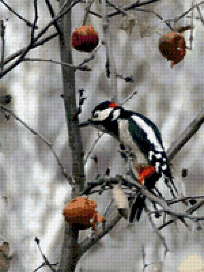 №609437 - предпросмотр