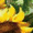 Предпросмотр схемы вышивки «Желтый букет» (№609478)