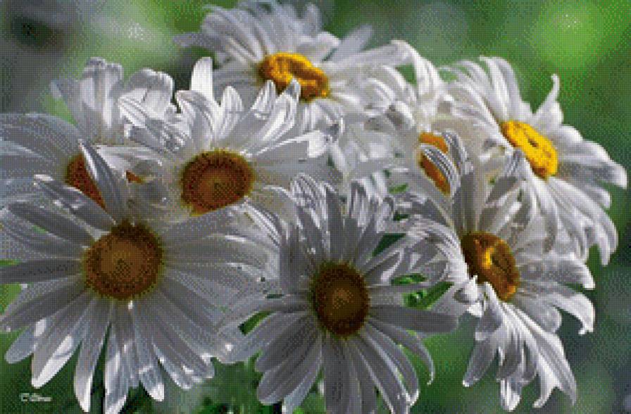 №609492 - предпросмотр