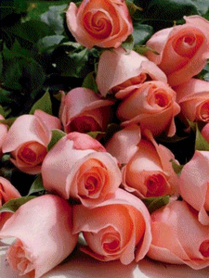 №609498 - предпросмотр