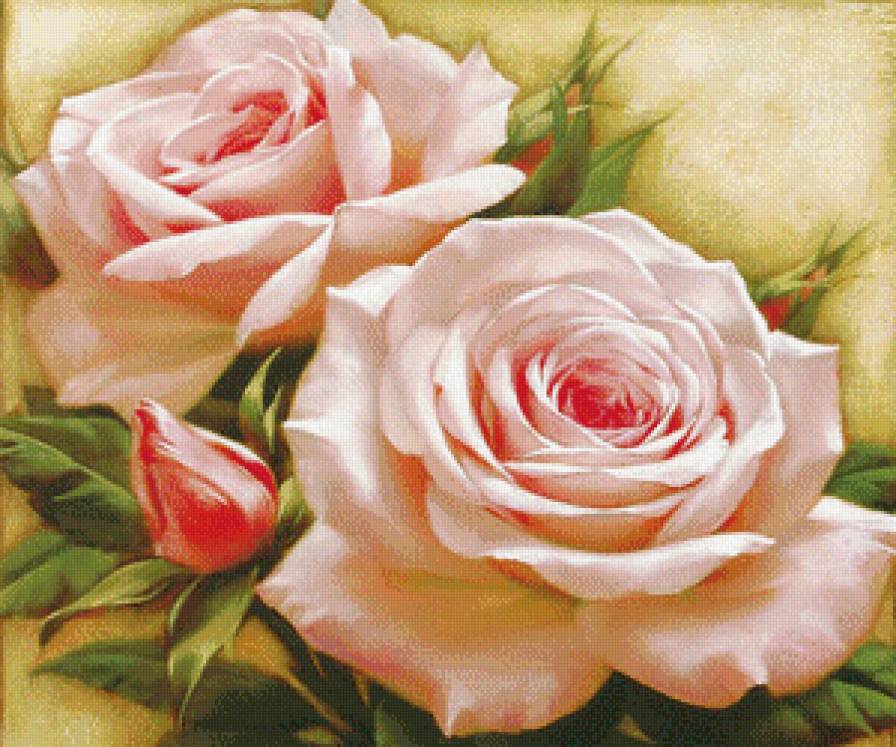 №609517 - предпросмотр