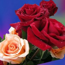 Схема вышивки «№609520»