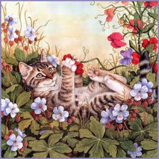 Полосатик на прогулке .