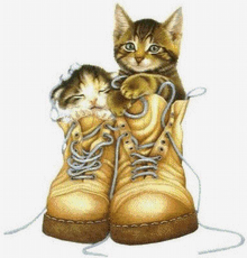 №609732 - предпросмотр