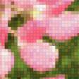 Предпросмотр схемы вышивки «цветы на даче» (№609780)
