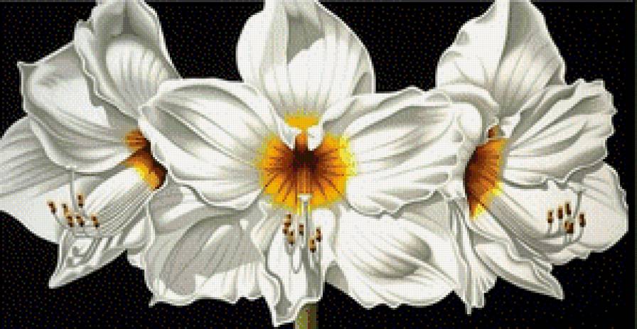 №609798 - цветы - предпросмотр