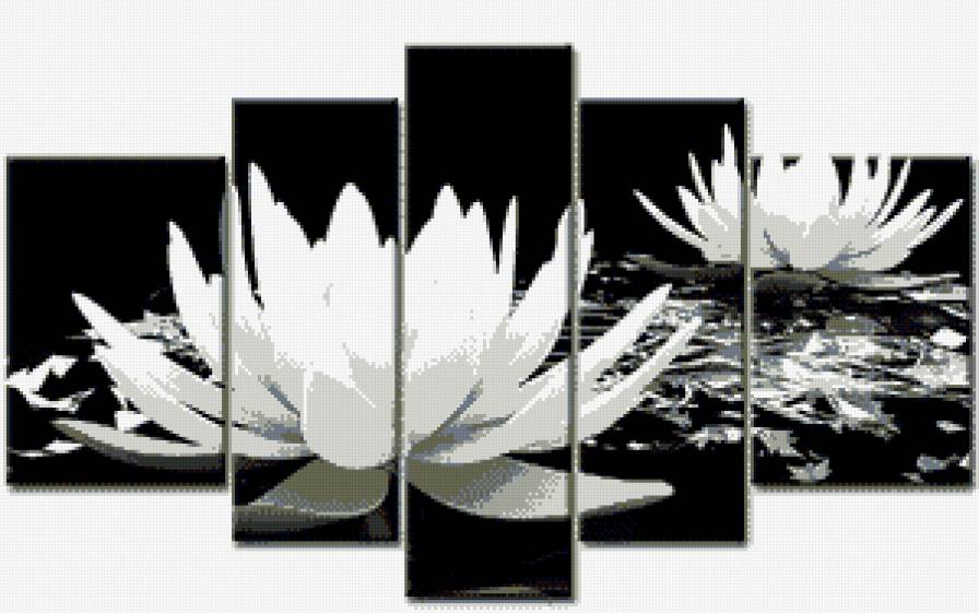 лилии - предпросмотр