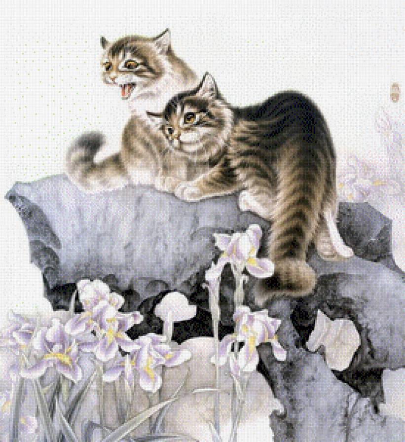 это моя кошечка! - животные, кошки - предпросмотр