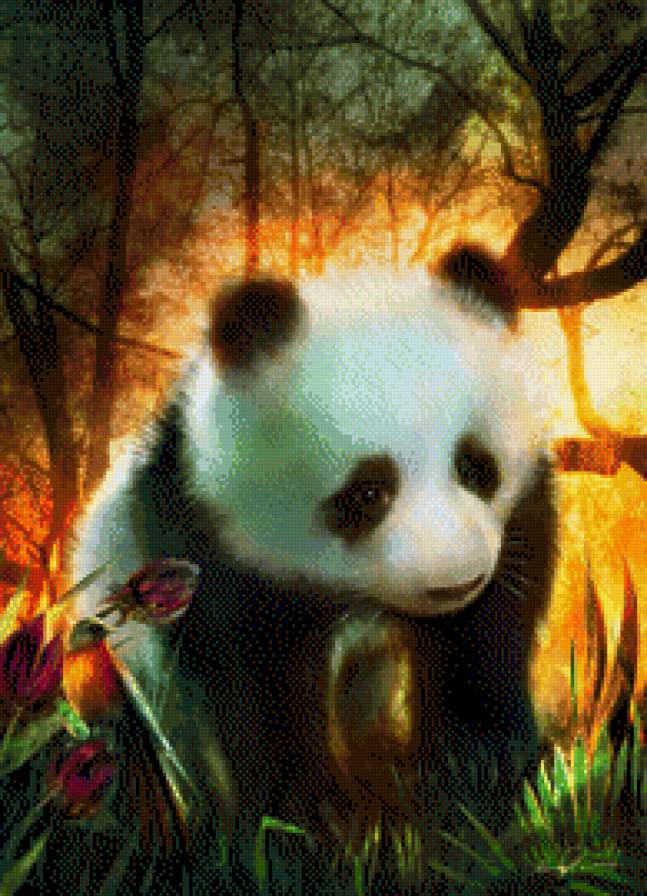 панда - животные - предпросмотр