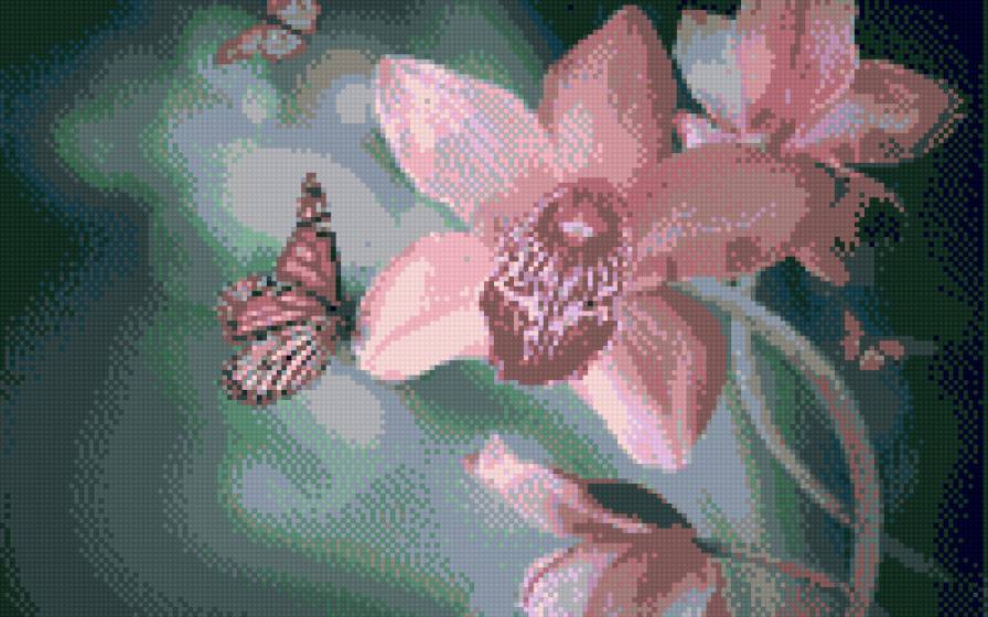 ОРХИДЕЯ - цветы, орхидеи - предпросмотр