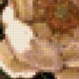 Предпросмотр схемы вышивки «№610077»