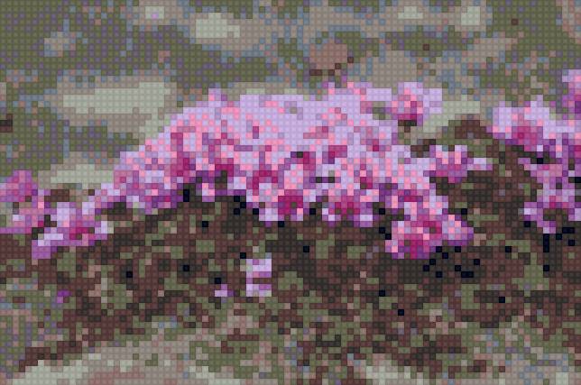 камнеломка - горные растения - предпросмотр