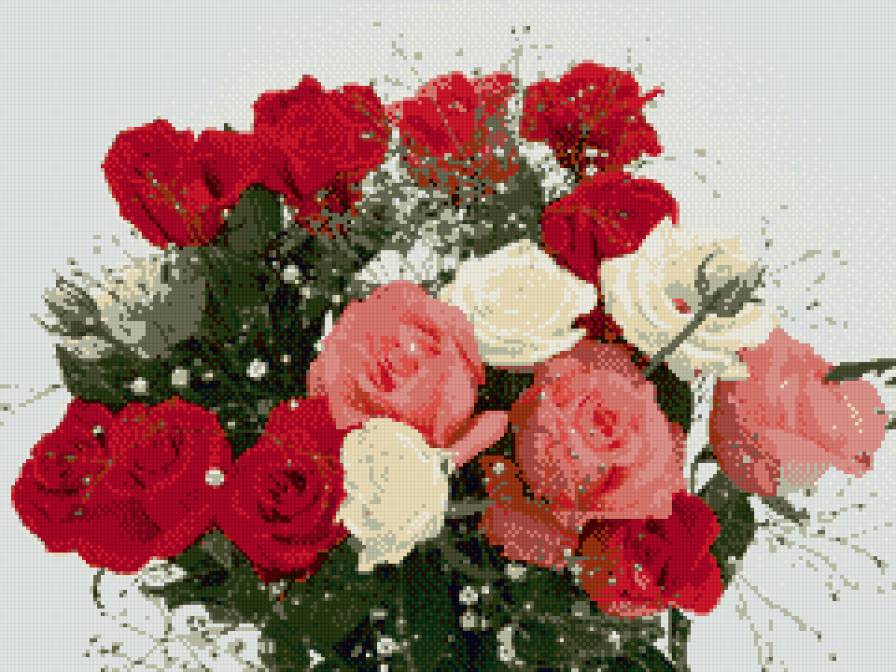 букет роз - розы, цветы - предпросмотр