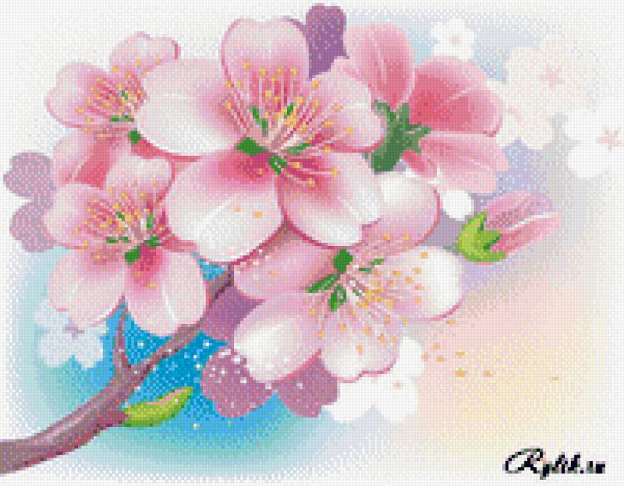 Сакура - сакура, восток, цветы, дерево - предпросмотр