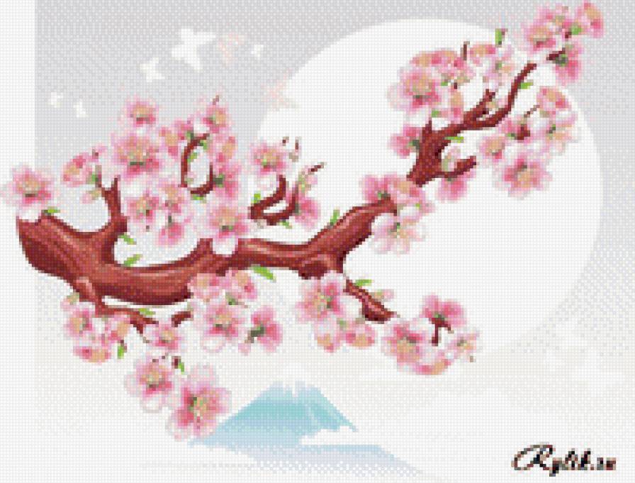 Сакура - восток, дерево, цветы, сакура - предпросмотр