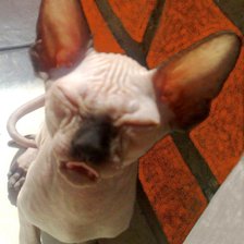 Схема вышивки «лепик»